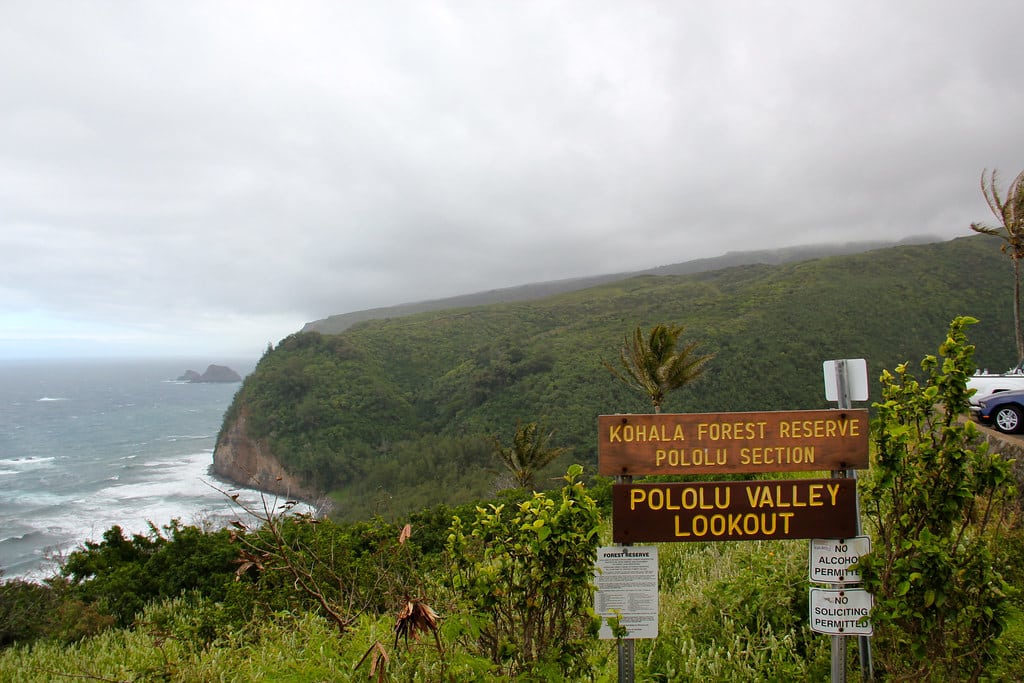 lookou - Kohala Pacific Realty